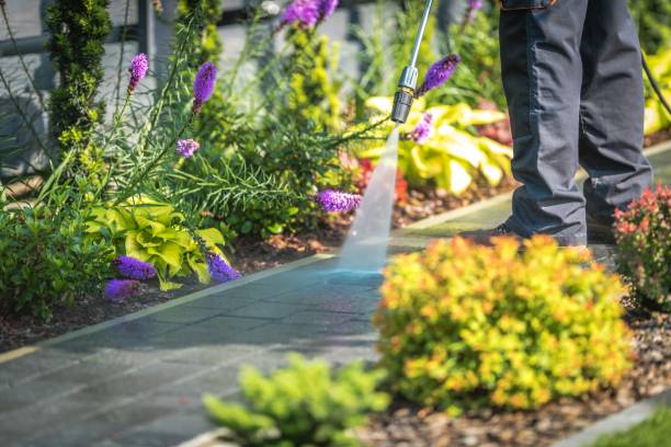 Best Winterizing Services  in Humansville, MO
